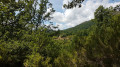 Chapelle de Saint-Vincent