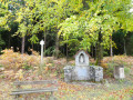 Chapelles et anciens moulins au départ de Oizy