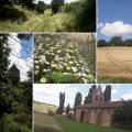 À travers les coteaux du Lauragais