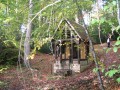 Forêt d'Eawy pour petits et grands autour de la chapelle Saint-Étienne