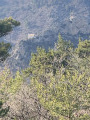 Beauvoisin par le Col de Milmandre, les Costes et le Col de la Croix