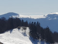 Circuit des auberges à raquettes au Markstein