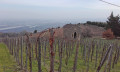Chapelle St Pierre