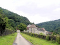 Petit envol autour de la Chartreuse de Sélignac