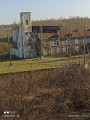 chartreuse des dames
