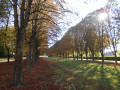 Châtaigners