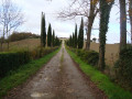 Château Arcamont.