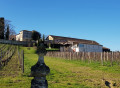 Château Carles