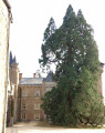 Château de Busset ... Château de Busset ...