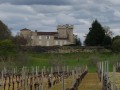 Les collines champêtres de Génissac