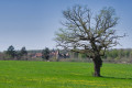 Chateau de la crête