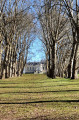 Chateau de la Louvière