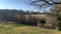 L'Abbaye de Bellefontaine et le Chemin des Canons à Andrezé