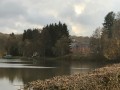 Boucle en Forêt de l’Abbé au départ de Liessies