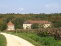 A travers le Bois de Couloutre