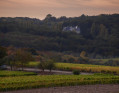 Château de Maupas