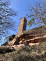 Étangs, châteaux, forêts et falaises de grès au départ de l'Étang d'Hanau