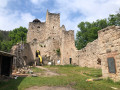 Châteaux et vignoble au départ de Dambach