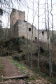 Entre le Château du Hagueneck et la Chapelle des Bois