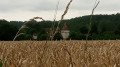 Chateau du Saulnier à St Front
