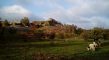 Château Neuf
