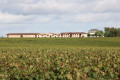 Château Pontet Canet