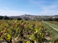 Châteauneuf-du-Pape Châteauneuf-du-Pape
