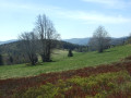 Chaume de Haute Bers Chaume de Haute Bers