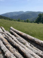 Chaumes d'Oberlauchen