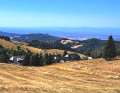 Chaumes de For&ecirc;t Noire & Vosges &agrave; l'horizon