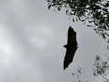 Along the Yarra River, Melbourne