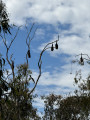 Along the Yarra River, Melbourne