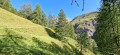 Chavalet