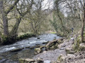 Chee Dale