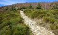 Chemin -éboulis