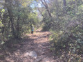 chemin 2