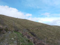 Chemin à flanc de colline en direction du col