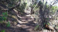 Chemin à flanc de dune