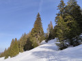 Chemin à gauche vers la Neuve