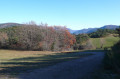 Chemin à hauteur du panneau "Laye"