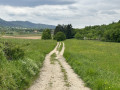 Petite boucle dans la Vallée Noble au départ de Wintzfelden