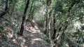 Chemin à l'ombre