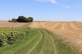 Chemin à travers champ après la ferme de Loumas