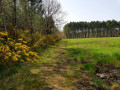 Chemin à travers champs non "balisé"