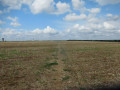 Chemin à travers champs