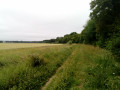 Chemin a travers les champs