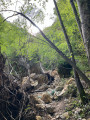 chemin accidenté