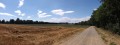 Chemin agricole au début de la marche.