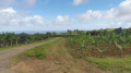 Chemin agricole de retour vers la Ferme de la Digue