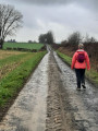 Chemin agricole vers Cerfontaine